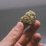 delta 8 flower pound